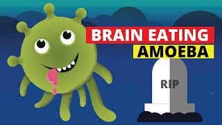 Brain Eating Amoeba (Naegleria fowleri)