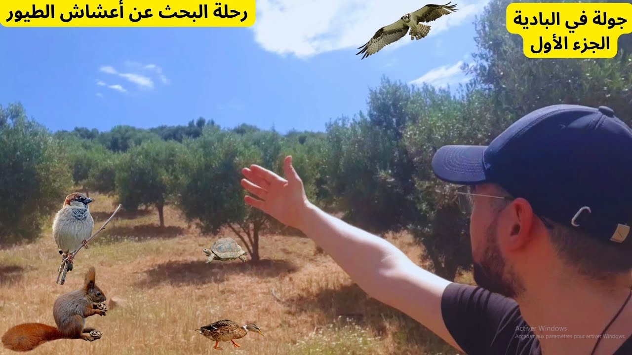 جولة في البادية و الطبيعة الخلابة في رحلة البحث عن أعشاش الطيور البرية