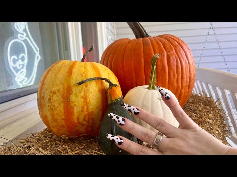 🍂 fall asmr - pumpkin tapping / scratching + fall decor outdoors