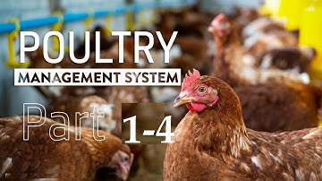 Poultry management system using Microsoft access database