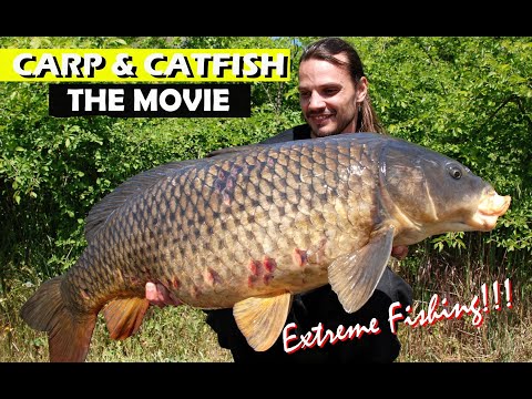 Carp and Catfish extreme fishing.
