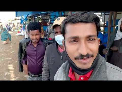 Ethiopia Bale Robe Market Part 1 With My Indian Friends
