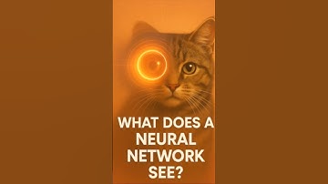 What Does a Neural Network ‘See’? | How AI Recognizes Images Step by Step - short video