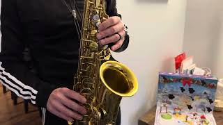 211,xxx Selmer Mark VI Alto Saxophone Demo, www.dcsax.com