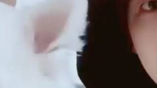 BTS rap monster pet rapmon