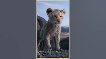 لا تأسفن على غـدر الزمان لطالما رقصت على جثث الأسـود كلاب 