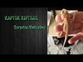 RAPTOR REPTILES: Special Unboxing from KPs Critters