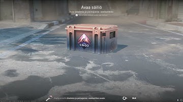 DAY 67 OPENING CS2 CASES UNTIL I GET GOLD!