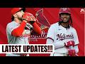 All Signs Point To THIS... | Daily St. Louis Cardinals News &amp; Rumors