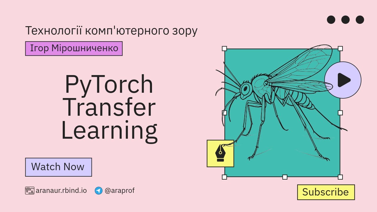 05 - 🔥PyTorch Transfer Learning - YouTube