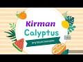 Kirman Calyptus hotel . Самый подробный обзор- 2022 г.