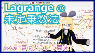 【ラグランジュの未定乗数法】あの計算の意味、説明できますか？【幾何的イメージも解説】#094 #VRアカデミア screenshot 5