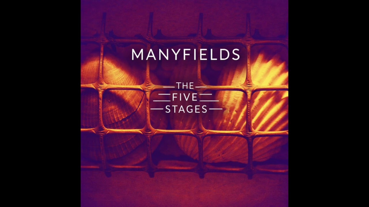 Manyfields - Into The Bargaining