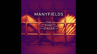 Download Lagu Manyfields - Into The Bargaining MP3