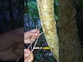 You Won’t Believe This Knot!