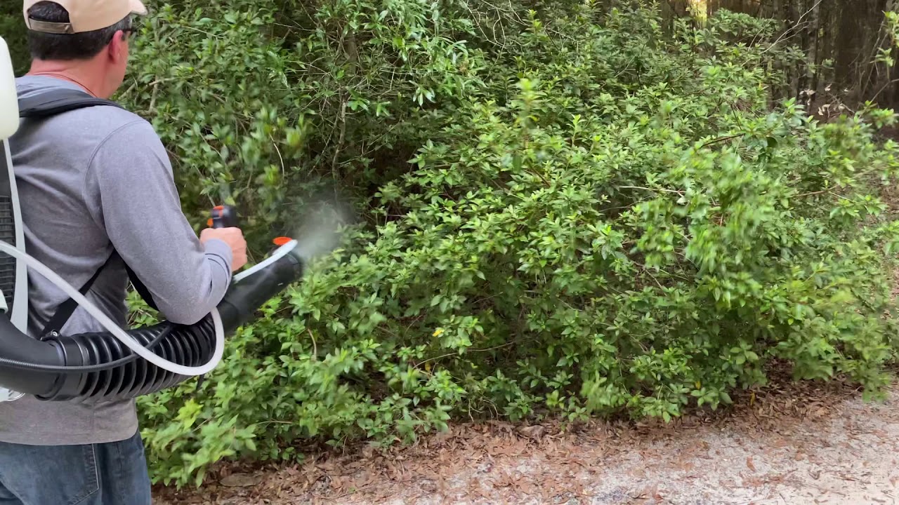 Insect Xtreme Mosquito Yard Defense Promo