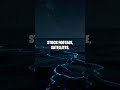 Bioluminescent Bays: The Nightlight Dinoflagellates