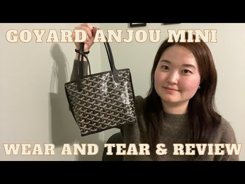 GOYARD ANJOU MINI REVIEW  WEAR AND TEAR #goyard #minianjou