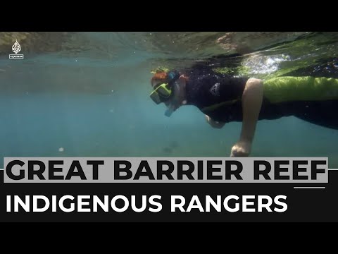 Indigenous rangers work on project to restore great barrier reef