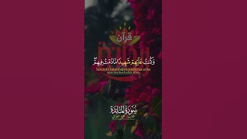 ما قلت لهم إلا ما أمرتني به أن اعبدوا الله ربي وربكم. #محمد_الغزالي #سورة_المائدة #ريحانة_قرآن #قرآن