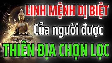 Linh Mệnh Thần Tiên Chuyển Thế: Những Con Người Được Thiên Địa Chọn Lọc