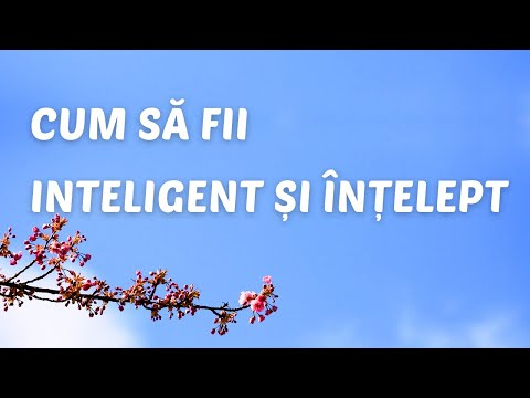 Video: Cum Să Fii înțelept și Inteligent