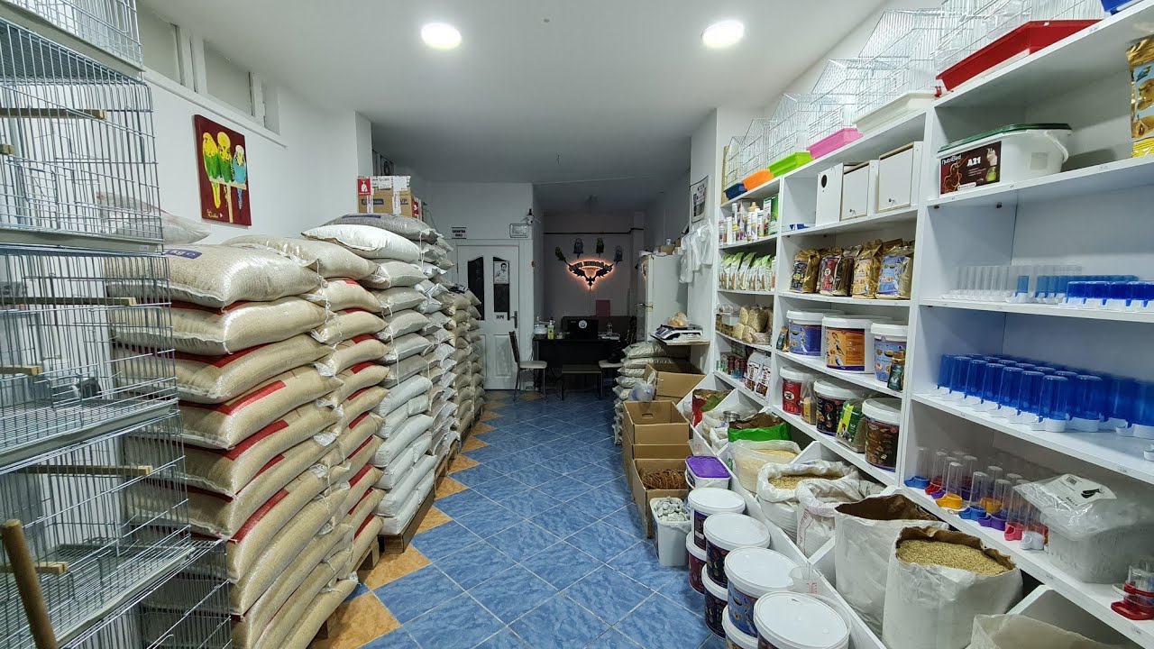 Yeni Mahsul Kızıl Dal Darı, Ak Darı, Japon Darı ve Aspurumuz Geldi