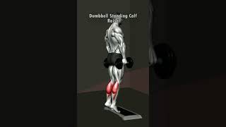 The Dumbbell Standing Calf Raise is a great Calf exercise - Save and try your next workout