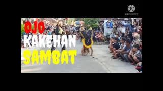 story wa bujang ganong Salto TRM crew