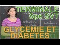 Glycémie et diabètes - Spé SVT - Terminale - Les Bons Profs