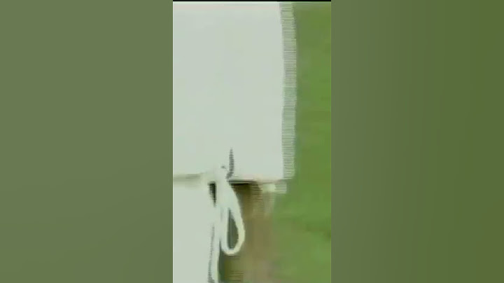 Revealing Sachin Tendulkar's Ball Tampering Controversy Video