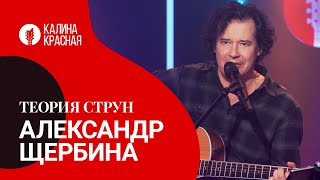 Теория струн с Александром Щербиной