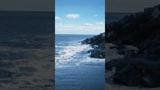 sea gif