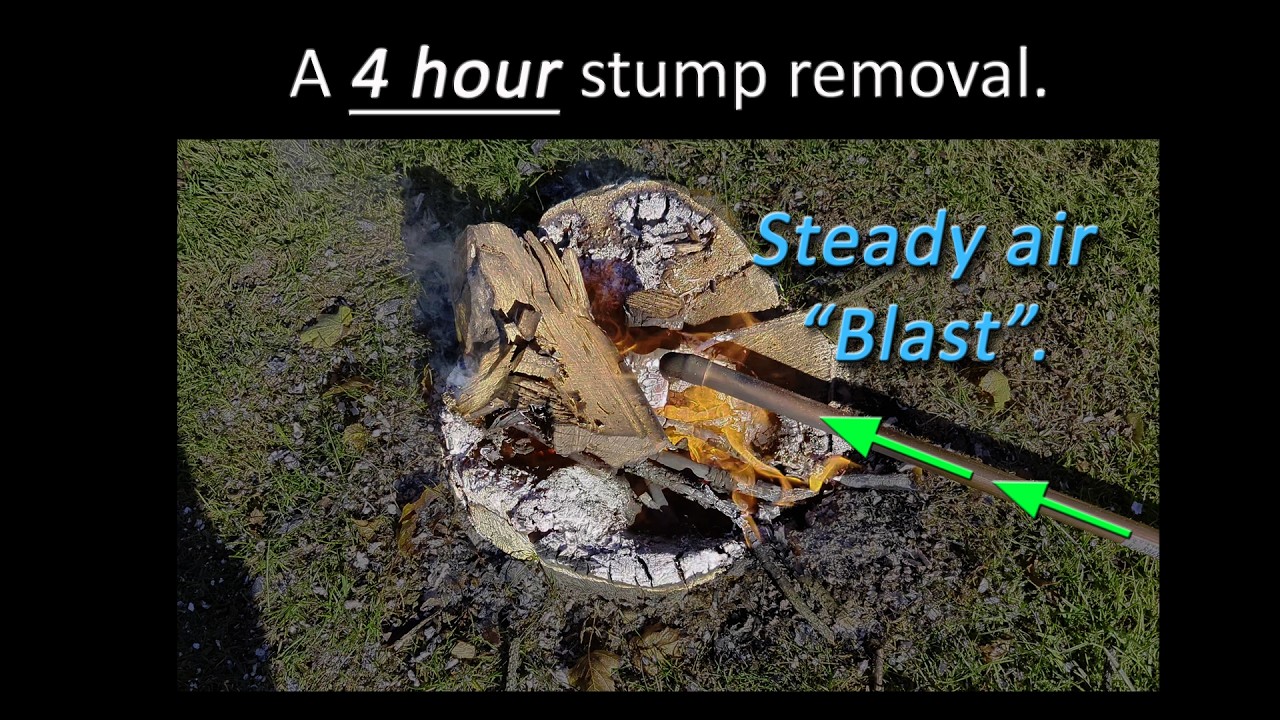 12v fan VS Tree Stump. How to Remove a Tree Stump - Step by Step #40 ...