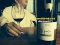 【R20】サンタ ヘレナ アルパカ チリ産赤ワイン カベルネ メルロー