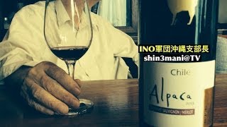 【R20】サンタ ヘレナ アルパカ チリ産赤ワイン カベルネ メルロー