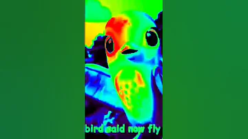 Five Little Birds Singing Cocomel Sparta Effects Sponsored By Gamavision Csupo Effects Cocomelon 