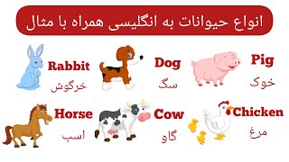 آموزش انگلیسی|انواع حیوانات به انگلیسی با مثال|بخش ۱|animals in English