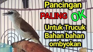 TRUCUK BAHAN OMBYOKAN PINGIN GACOR..? PAKAI INI Pancingan trucukan agar bunyi gacor