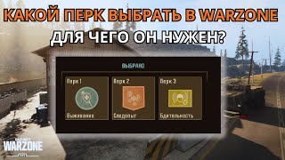 Warzone 2025: ТОП-перки, которые сделают тебя профи!