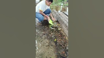 Clean Culvert Abandon Clog Drain #unclog #clean #culvert #shorts