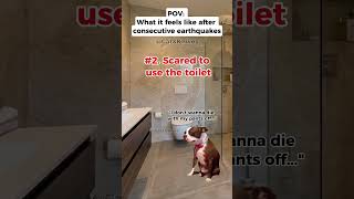 POV: What it feels like after consecutive earthquakes #relatable #relationship #catmemes