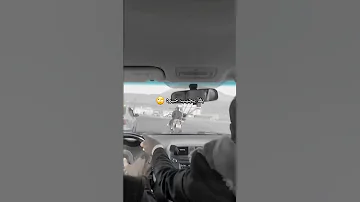 انا شقاح ابو شقحه 