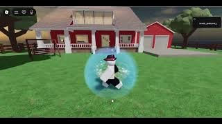 Trotroy Island Household 2004