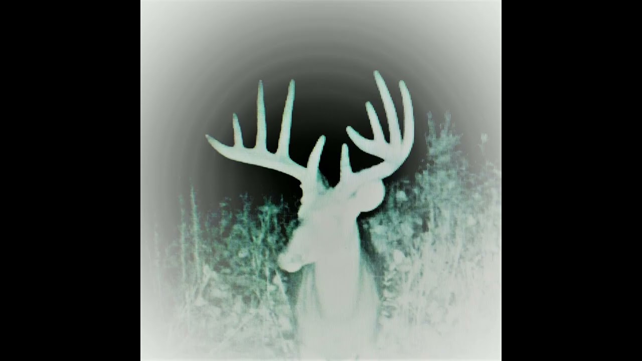 Alabama Black Belt Hunting Paradise Line Creek Plantation YouTube