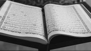 Raad Muhammad al Kurdi - Surah Al-Mumtahanah