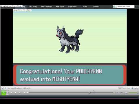 how to evolve a lvl 100 pokemon how to evolve a lvl 100 pokemon