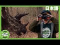 ダイノ・マスターがやってきた パート1 | ティラノサウルス牧場 | 恐竜番組 | 子供向け | T-Rex Ranch