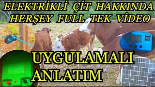 Elektrikli Çit Kurulumu 2 Yıllık Tecrübe Uygulamalı Anlatım-Hayvanların ilk Çit Çarpması ve Alışması