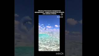 #shorts #акиен так красивый 😱